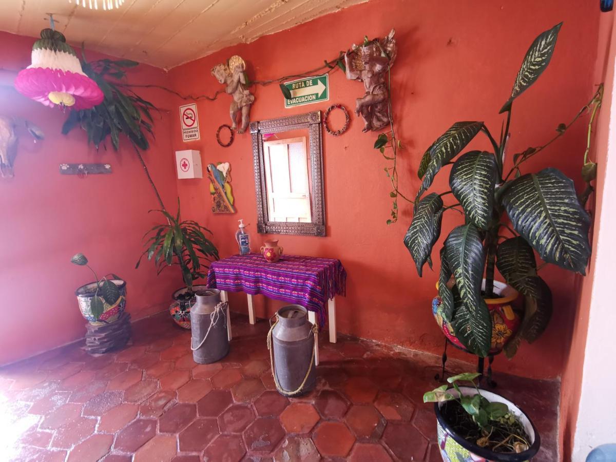 La Casa Del Abuelo Vandrehjem San Miguel de Allende Eksteriør billede