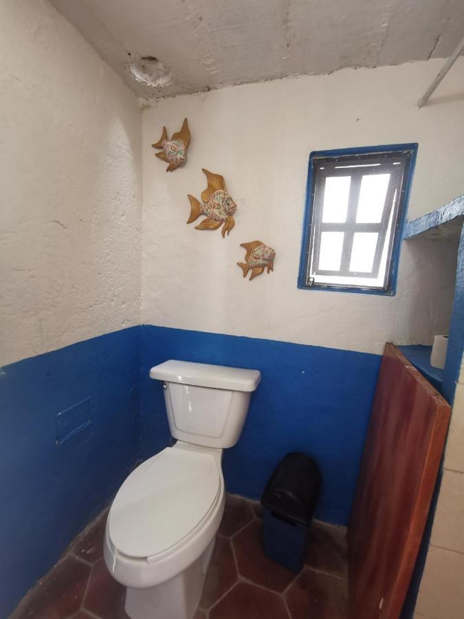 La Casa Del Abuelo Vandrehjem San Miguel de Allende Eksteriør billede