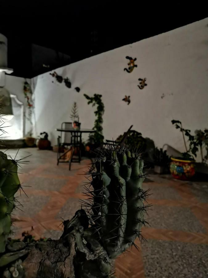 La Casa Del Abuelo Vandrehjem San Miguel de Allende Eksteriør billede